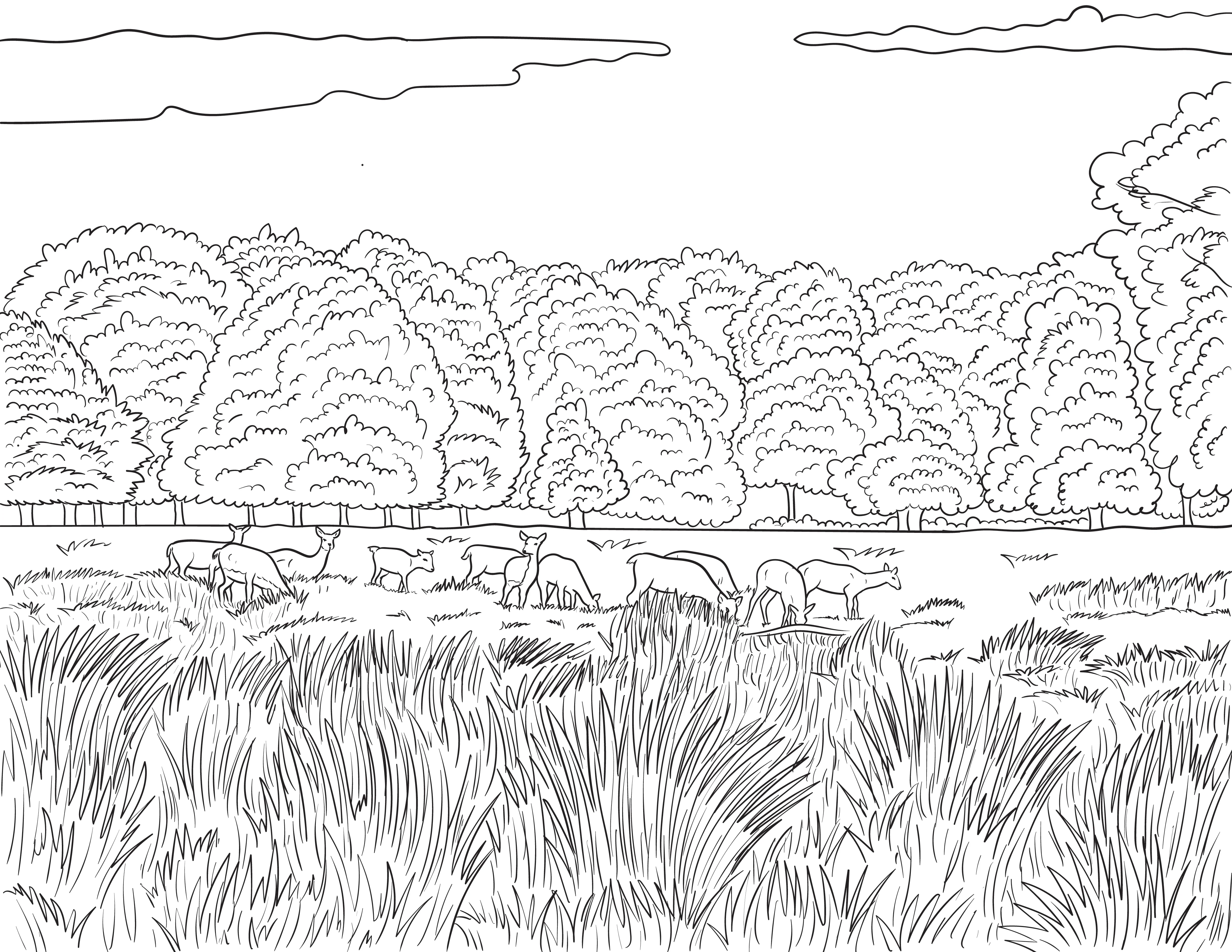 Richmond Colouring Book (A4) - Image 5